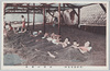 (別府温泉名所)砂湯の実況/(Famous Views of the Beppu Hot Springs) Actual Scene of the Sand Bath image