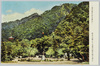 岐阜新名所金華山　岐阜公園より金華山岐阜城を望む/Mt. Kinka, a New Sight in Gifu: View of Gifu Castle on Mt. Kinka from Gifu Park image