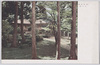(京の林泉)三千院/(Japanese-Style Garden in Kyōto) Sanzenin Temple image