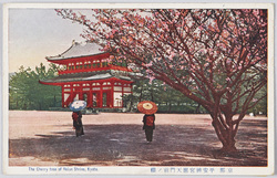 京都　平安神宮応天門前ノ桜 / Kyōto, Cherry Blossoms in Front of the Ōtemmon Gate of the Heian Jingū Shrine image