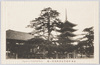 奈良興福寺五重塔及花ノ松/Five-Storied Pagoda and Noted Pine Tree at the Kōfukuji Temple, Nara image