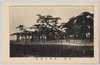 近江　唐崎の老松/Old Pine Tree, Karasaki, Ōmi image