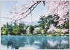 (京都)大沢池(嵯峨野)/(Kyōto) Ōsawa Pond (Sagano) image