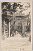 出雲大社　中ノ鳥居/Izumo Taisha Shrine: Second Torii Gate image