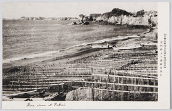 (伊勢志摩国立公園・波切風景)宝門浜より麦崎を望む / (Ise-Shima National Park: Views of Nakiri) View of Mugisaki from the Homon Beach  image