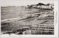 (伊勢志摩国立公園・波切風景)宝門浜より麦崎を望む / (Ise-Shima National Park: Views of Nakiri) View of Mugisaki from the Homon Beach image
