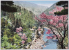 (京都嵐山)春たけなわの展望/(Arashiyama, Kyōto) View in the Midst of Spring image