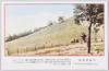 奈良若草山/Mt. Wakakusa, Nara image