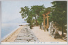 (近江琵琶湖)白鬚神社/(Lake Biwa, Ōmi) Shirahige Shrine image