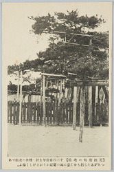 近江　絵葉書 / Picture Postcards: Ōmi image