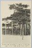 近江唐崎の老松/Old Pine Tree, Karasaki, Ōmi image
