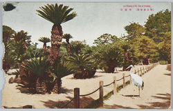 岡山後楽園 絵葉書 / Picture Postcards: Okayama Kōrakuen Garden image