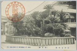 妙国寺蘇鉄(堺名勝) / Sago Palms at the Myōkokuji Temple (Scenic Beauty of Sakai) image