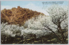 (青島郊外名山)梨花満開の九水より労山を望む/(Celebrated Mountain in the Outskirts of Tsingtao) Mt. Laoshan Seen from Jiushui in Full Bloom of Pear Flowers, Tsingtao image