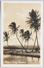 Pearl City Palms image