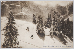 "DAS WUNDER DES SCHNEE-SCHUH" / "THE MIRACLE OF THE SNOW SHOE" image