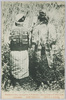 アイヌ民族夫婦の後姿/Back View of an Ainu Couple image