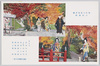 現代人気花形揃の紅葉狩/All Popular Stars in Our Time Viewing the Autumnal Leaves image