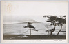 熱川海岸ヨリ大島ヲ望ム/View of Oshima Island from the Atagawa Coast image