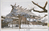 本殿/Yasukuni Shrine: Main Sanctuary image