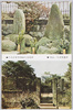 乃木将軍真筆御夫妻墓碑　青山・乃木家墓所/Tombstones of General and Mrs. Nogi, Inscribed with the General's Calligraphy, Graveyard of the Nogi Family, Aoyama image