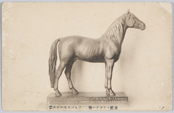 米国トロツター種　アムバスセードル号 / "Ambassador," American Trotter Breed  image