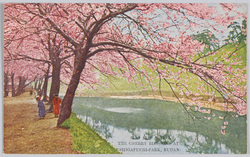 九段牛ヶ淵の桜 / Cherry Blossoms at the Ushigafuchi Moat, Kudan image