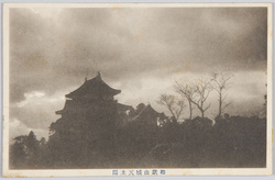 和歌山城天主閣 / Wakayama Castle: Main Tower image