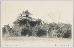 和歌山城天主閣 / Wakayama Castle: Main Tower image