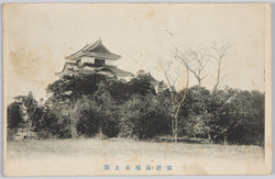 和歌山城天主閣 / Wakayama Castle: Main Tower image