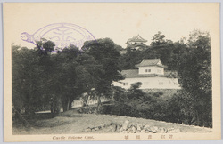 近江彦根城 / Hikone Castle, Ōmi image