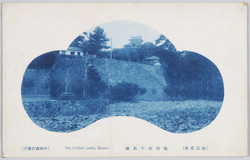 (松江名所)亀田山千鳥城 / (Famous Views of Matsue) Chidori Castle, Kameda image