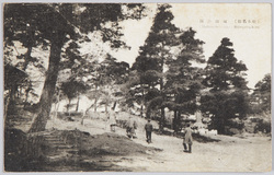 (松本名勝)城山公園 / (Scenic Beauty of Matsumoto) Jōyama Park image