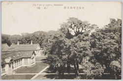 北海道帝国大学(札幌) / Hokkaido Imperial University (Sapporo) image
