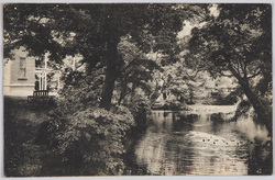 (札幌)植物園幽庭湖 / (Sapporo) Yūtei Pond in a Botanical Garden image