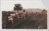札幌郊外真駒内種畜牧場/Makomanai Livestock Breeding Center in the Suburbs of Sapporo image