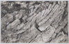 富岳風穴洞内の熔岩波痕/Fugaku Wind Cave: Traces of Lava Waves image