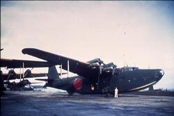 横須賀基地の日本軍飛行艇 2 / Japanese Military Seaplane at Yokosuka Base 2 image