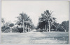 (南洋西廻りパラオ島の風景)コロール官舎通り/(Westward Trip around the South Seas: View of Palau Islands) Official Residence Street, Koror image