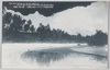 (南洋西廻りアンガウル島の風景)椰子林と海岸/(Westward Trip around the South Seas: View of Angaur Island) Palm Grove and Coast image