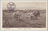 樺太畑地ノ開墾/Farmland Cultivation in Karafuto (Sakhalin)  image