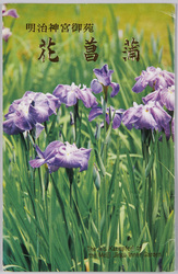 明治神宮御苑　花菖蒲　 / Meijijingū Inner Garden: Irises image