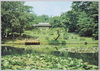 南池より御釣台隔雲亭を望む/View of the Fishing Deck and Kakuuntei (Imperial Resting Room) from South Pond image