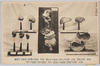 消化器系模型/Digestive System models image