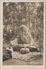 粕谷檪林に於ける徳冨氏の墓/Grave of Mr. Tokutomi in a Grove of Kunugi (Japanese Chestnut Oaks) image