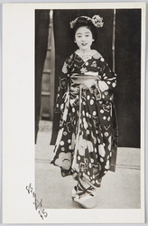 舞妓 / Maiko (Apprentice Geisha) image