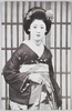 新装京舞妓/Maiko (Apprentice Geisha) in Kyoto (New Edition) image