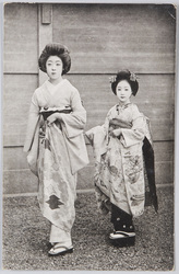 芸妓と舞妓 / Geisha and Maiko (Apprentice Geisha) image
