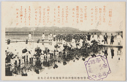大嘗祭悠紀斎田御田祭植付式の光景 / Daijōsai Great Thanksgiving Ceremony Yuki Rice Field: Scene of the Rice Planting Ceremony image