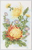 天長節紀念絵葉書/Picture Postcard Commemorating the Emperor's Birthday image